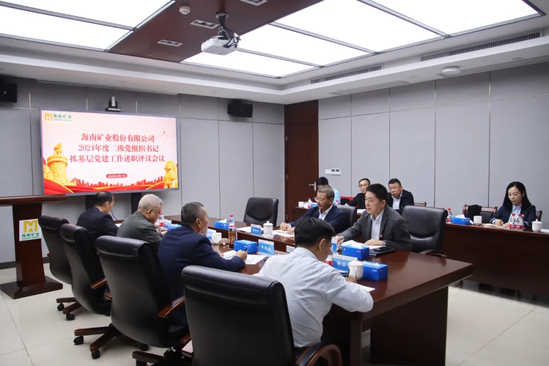 开云app手机入口app党委召开2024年度二级党组织书记抓基层党建工作述职评议会议